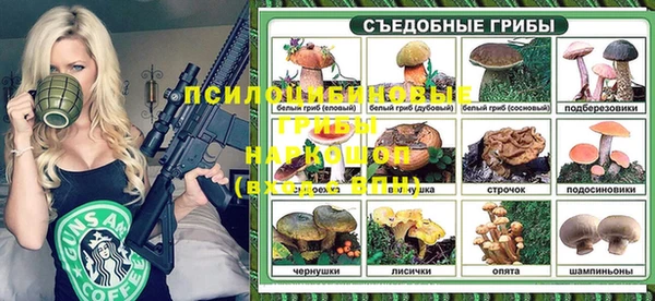 прущая мука Елабуга