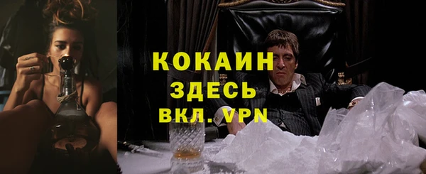 a pvp Ельня