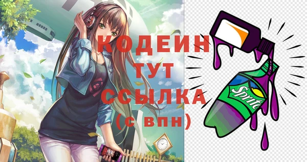 a pvp Ельня