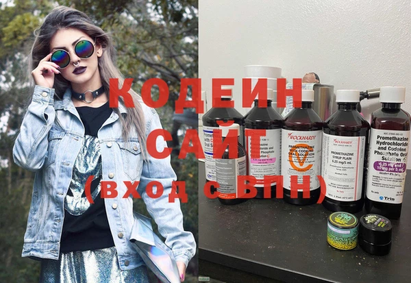 a pvp Ельня