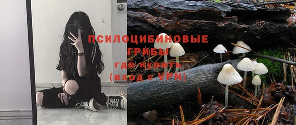 прущая мука Елабуга