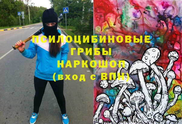 мяу мяу мука Елизово